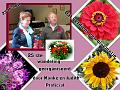 25ste Herfstwandeling van Armand en Judith op 23-10-2011 (61)